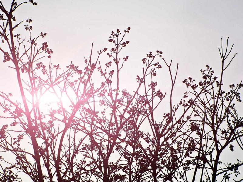 sudoku problem solving